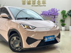 BYD Seagull 305km Vitality Edition - ფოტო 4
