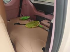 Wuling Hongguang MINIEV 170km - ფოტო 13