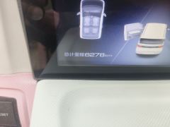 Wuling Hongguang MINIEV 170km - ფოტო 8