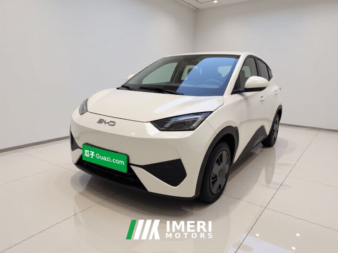 BYD Seagull Smart Driving Edition 305km Vitality Edition - ავტომობილი ჩინეთიდან