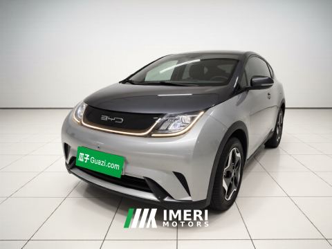 2021 BYD Dolphin 405km Free Version - ავტომობილი ჩინეთიდან