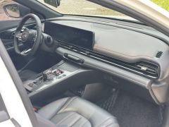 GAC Shadow Leopard 270T J15 Edition - ფოტო 14