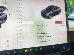 Tesla Model Y Standard endurance rear-wheel drive - ფოტო 8