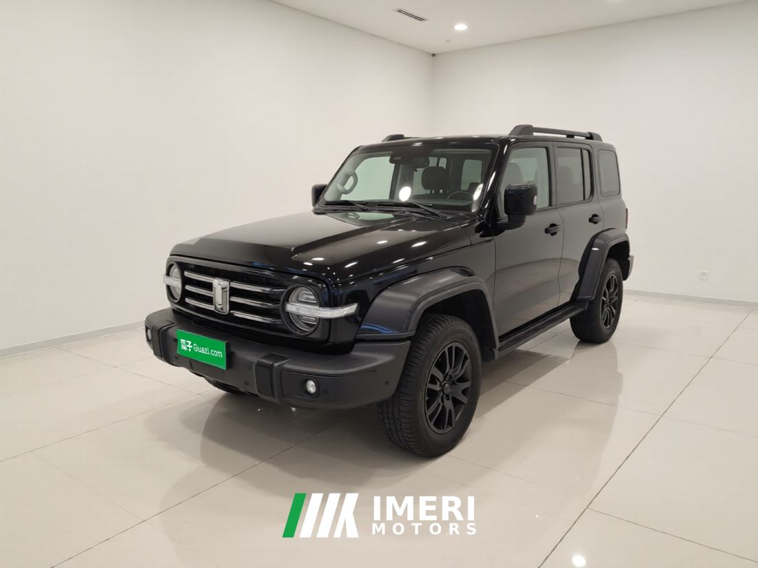 Tank 300 City Edition 2.0T Stylish - автомобиль из Китая
