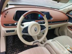 Ora Great Wall Good Cat 401km Prestigious Edition - ფოტო 16