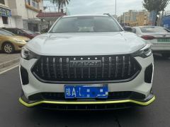 Haval Chitu Jinxiang Edition 1.5T Bronze Rabbit - ფოტო 2