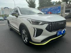 Haval Chitu Jinxiang Edition 1.5T Bronze Rabbit - ფოტო 3