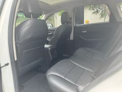 Haval Chitu Jinxiang Edition 1.5T Bronze Rabbit - ფოტო 6