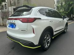 Haval Chitu Jinxiang Edition 1.5T Bronze Rabbit - ფოტო 8