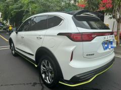 Haval Chitu Jinxiang Edition 1.5T Bronze Rabbit - ფოტო 9