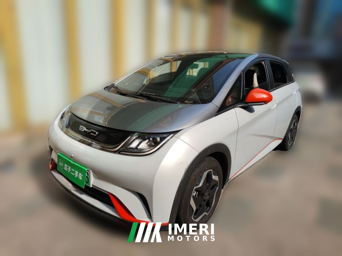 BYD Dolphin 405km Stylish Edition - car from China