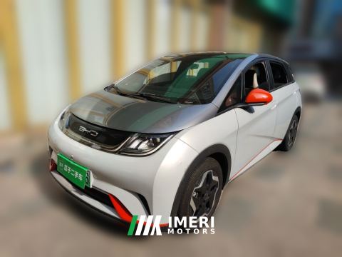 2021 BYD Dolphin 405km Stylish Edition - car from China