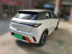 BYD Dolphin 405km Stylish Edition - photo 6