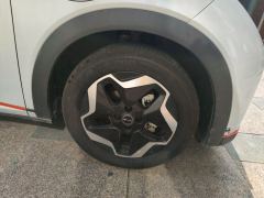 BYD Dolphin 405km Stylish Edition - photo 8