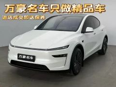 Tesla Model Y 821km Long Range Rear-Wheel Drive - фото 1