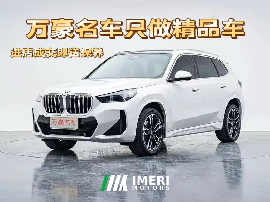 BMW X1 sDrive25Li X Design Package - car from China