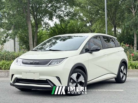 2023 BYD Dolphin 420km Freedom Edition - ავტომობილი ჩინეთიდან