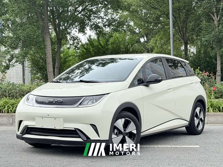 BYD Dolphin 420km Freedom Edition