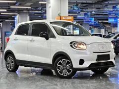 Leapmotor T03 403km 403 Comfortable Edition - ფოტო 3