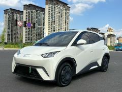 BYD Seagull Smart Driving Edition 305km Vitality Edition - photo 1