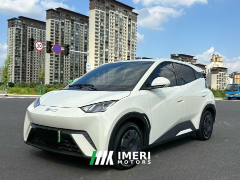 2025 BYD Seagull Smart Driving Edition 305km Vitality Edition - car from China