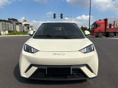 BYD Seagull Smart Driving Edition 305km Vitality Edition - photo 2