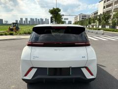 BYD Seagull Smart Driving Edition 305km Vitality Edition - photo 9