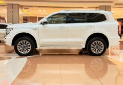 Tank 500 New Energy 2.0T Hi4-Z Smart Edition - фото 4