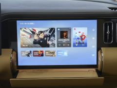 Denza D9 DM-i 1.5T 401km AWDPremium Version - ფოტო 11
