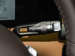 Denza D9 DM-i 1.5T 401km AWDPremium Version - ფოტო 8