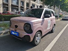 Geely Galaxy Panda mini 200km Endurance Bear - photo 1