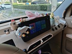 Geely Galaxy Panda mini 200km Endurance Bear - photo 17