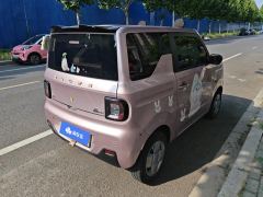 Geely Galaxy Panda mini 200km Endurance Bear - photo 2