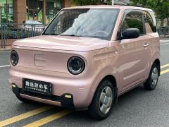 Geely Galaxy Panda mini 200km Endurance Bear - ფოტო 1