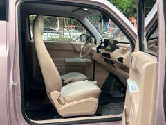 Geely Galaxy Panda mini 200km Endurance Bear - ფოტო 11