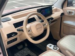 Geely Galaxy Panda mini 200km Endurance Bear - ფოტო 14