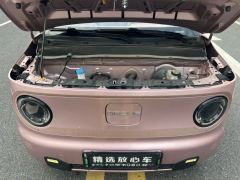 Geely Galaxy Panda mini 200km Endurance Bear - ფოტო 15