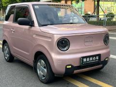 Geely Galaxy Panda mini 200km Endurance Bear - ფოტო 3