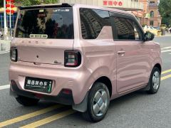 Geely Galaxy Panda mini 200km Endurance Bear - ფოტო 4