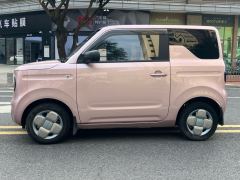 Geely Galaxy Panda mini 200km Endurance Bear - ფოტო 7