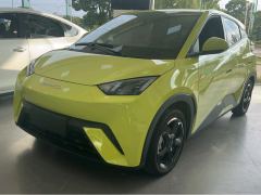 BYD Seagull 405km Flying Edition - ფოტო 1