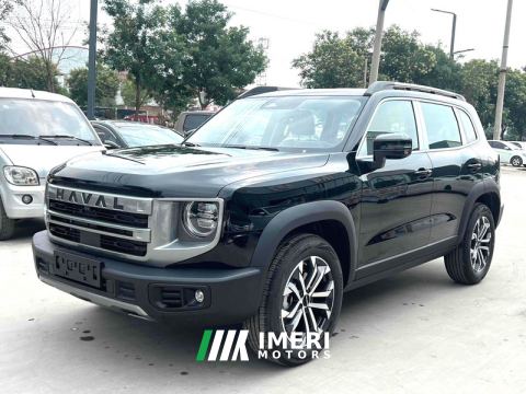 2024 Haval Great Wall Big Dog 1.5T 2WD Labrador Edition - автомобиль из Китая