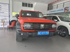 Tank 300 Off-Road Edition 2.0T Challenger - ფოტო 7