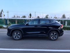 Jetour Jietu Dasheng 1.5T Star Shining - фото 12