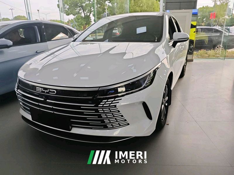BYD Destroyer 05 DM-i Champion Edition 1.5L 55km Luxury Edition - ავტომობილი ჩინეთიდან