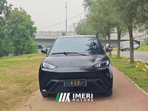 2025 BYD Seagull Glory Edition 405km Flying Edition