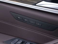 BMW 5 Series 530Li Luxury Edition Premium Package - ფოტო 14