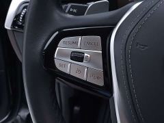 BMW 5 Series 530Li Luxury Edition Premium Package - ფოტო 17