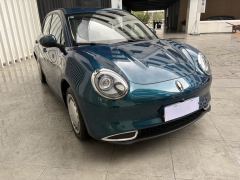 Ora Great Wall Good Cat 401km Standard Range Luxury Edition Lithium iron phosphate - photo 16
