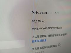 Tesla Model Y 554km Rear-Wheel Drive Edition - ფოტო 20